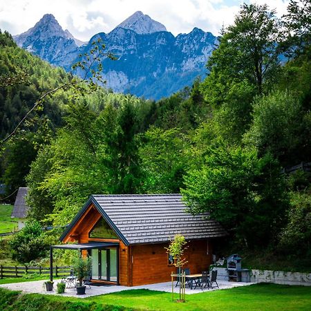 Radovna Chalet With Panoramic View Мойстрана Екстер'єр фото