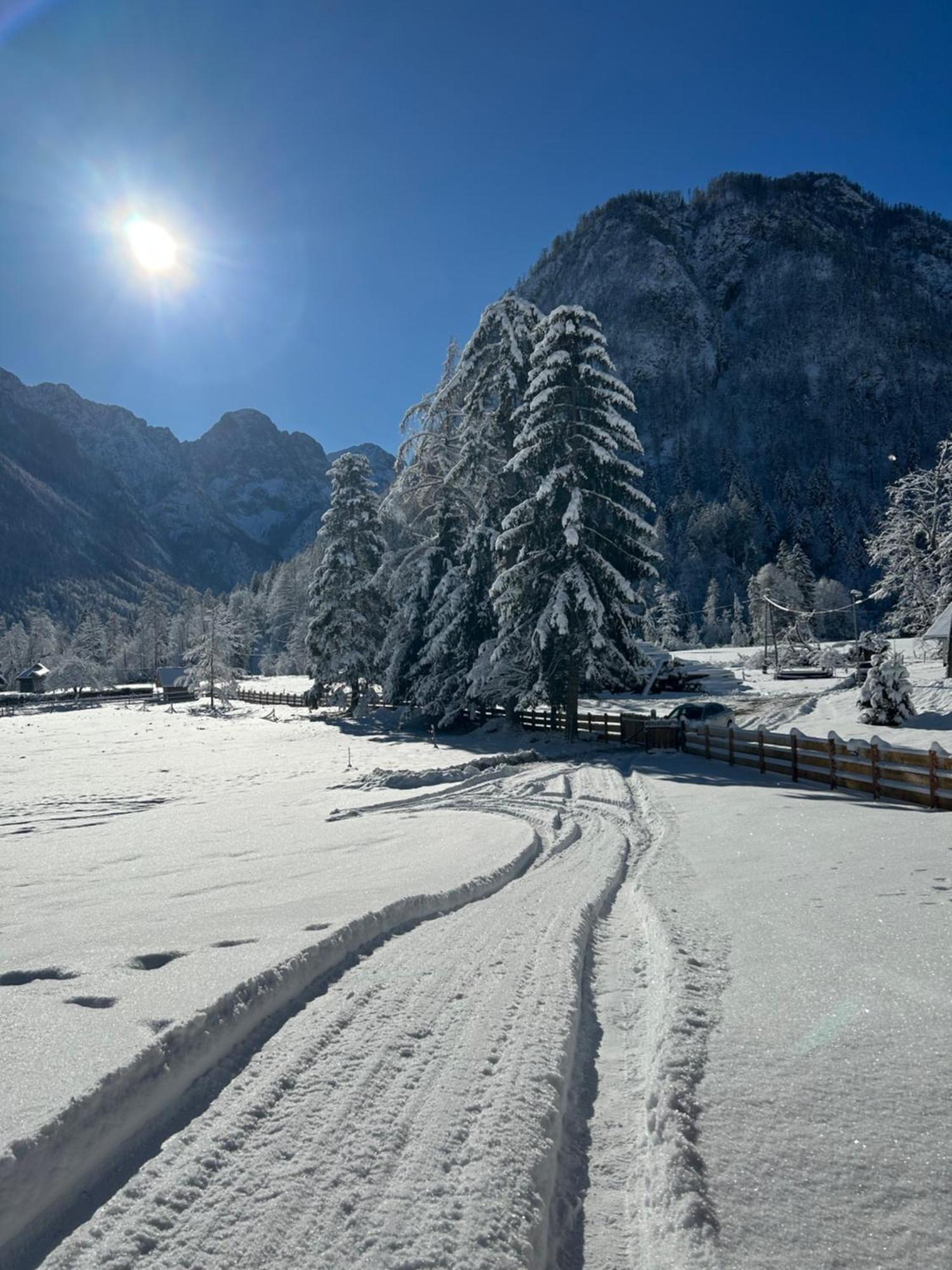 Radovna Chalet With Panoramic View Мойстрана Екстер'єр фото